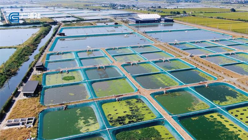 江苏省淡水水产研究所：建立农技推广服务新机制，助力河蟹产业高质量发展