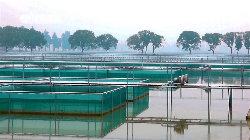 江苏省淡水水产研究所以推广河蟹绿色健康养殖技术为核心，推动农业高质量发展(图3)