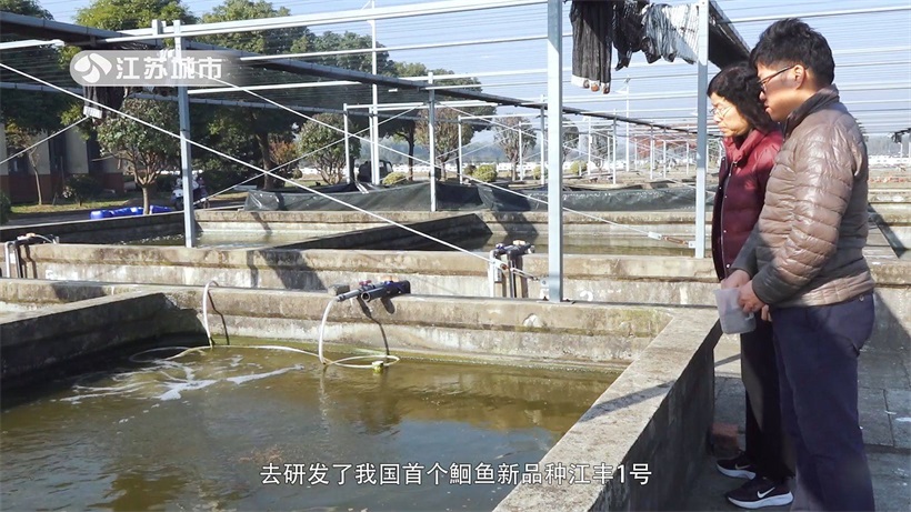 江苏省淡水水产研究所研发首个鮰鱼新品种，引领水产养殖业发展(图5)