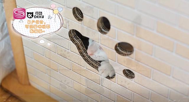 东莞市得酷宠物用品秉承着“品质卓越，设计创新”的理念为宠物提供舒适的服务并受到用户的一致好评