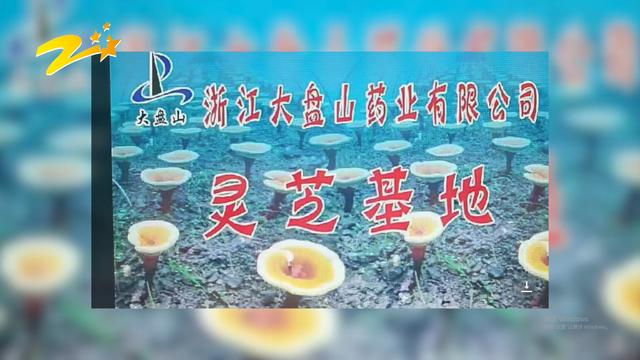 浙江大盘山药业着力推进现有产品的工艺技术升级及产品二次研发