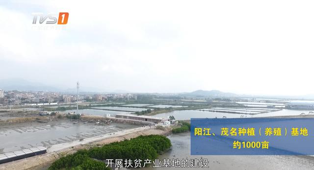 珠海市菜篮子公司将打造出更多的惠民项目为脱贫攻坚贡献力量