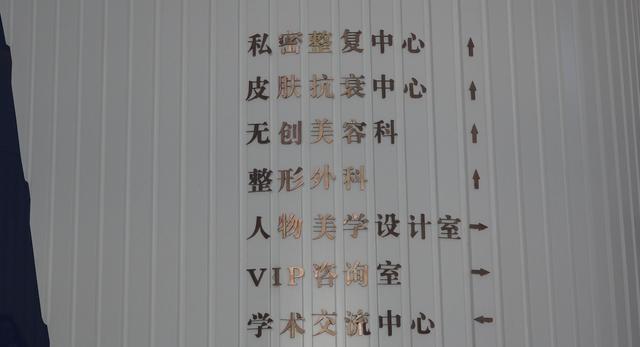 河源源城美斯嘉医疗美容门诊是一家致力于为中高端客户提供私人订制变美需求的明星级机构