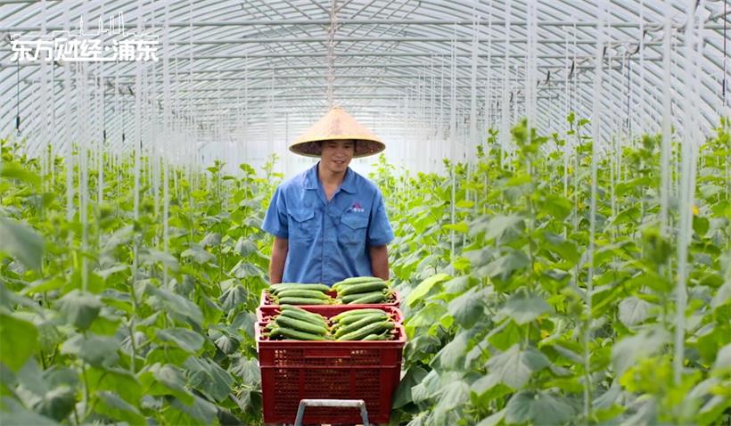 上海公平村-广通社报道