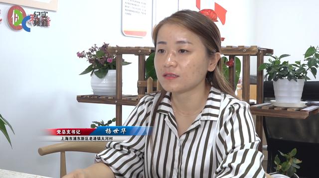大河村全面实施乡村振兴战略,建设现代化美丽乡村