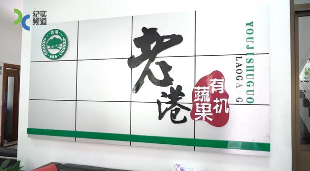 大河村全面实施乡村振兴战略,建设现代化美丽乡村