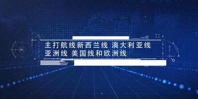 迈辉国际物流：让商品的国际运输更快更完整