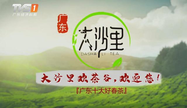 大沙里农业的“大沙里金萱绿茶”荣获2019“广东十大好春茶”