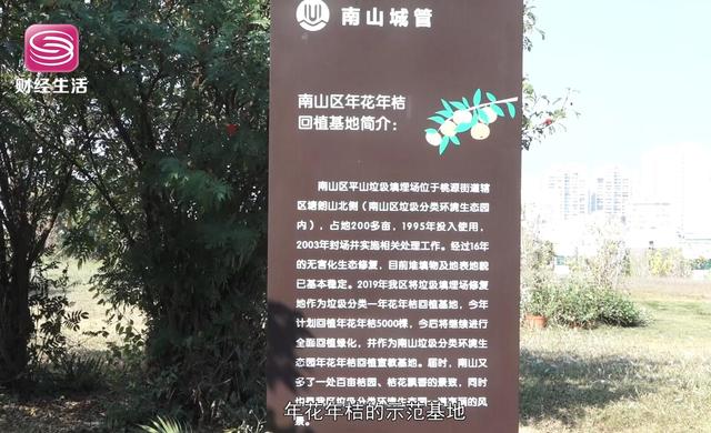 盘龙环境技术：建设美丽家园，我们在行动