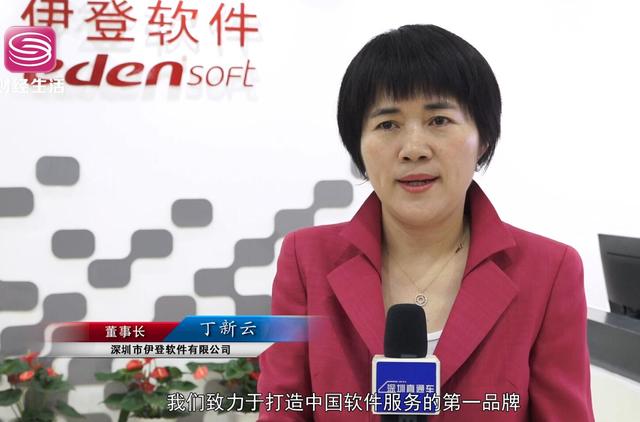 伊登软件董事长丁新云：致力打造中国软件服务的第一平台