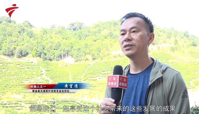 优质好茶 助力乡村振兴——鹰峰山有机茶