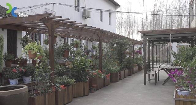 浦东新区川沙新镇界龙村获评2019市级美丽乡村示范村