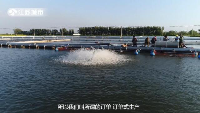 江苏省淡水水产研究所：运用科技实力 加快推进现代渔业建设