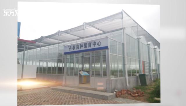 上海市药材坚持品质优先战略定位 着力推动中药农业发展