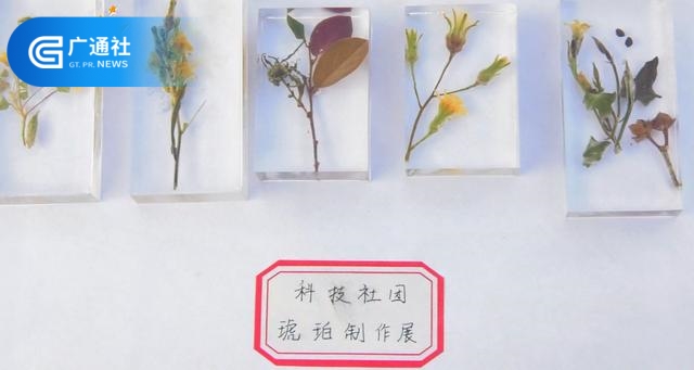 常山一小：科技创新，从娃娃抓起