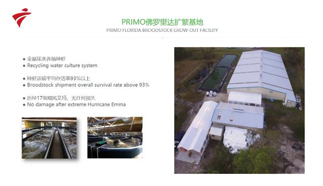 致敬新时代 聚焦新三农——广东海茂投资有限公司