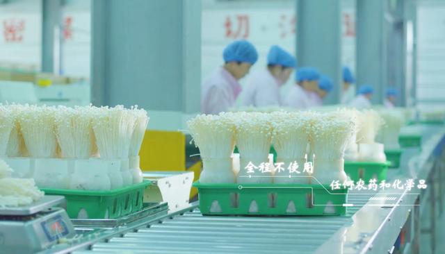 上海雪榕生物科技拥有庞大生产规模和稳定供应体系