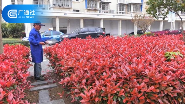  宁波新汇物业面对疫情从容应对，展现企业责任担当