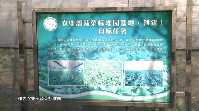 上海浦远合作社在疫情期间展现高度的社会责任感
