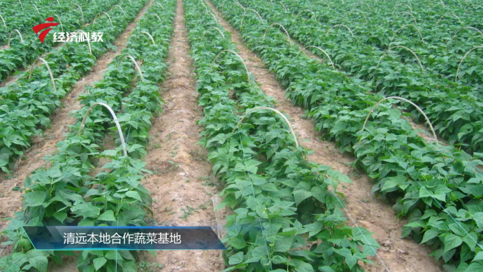 清远市高谷膳食配送与农产品检测有限公司