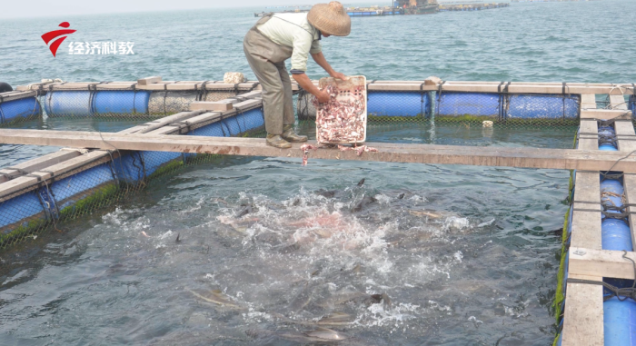 广州市通四海生物科技