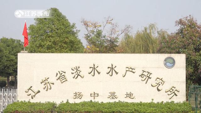 江苏省淡水水产研究所:科学发展绿色渔业,全面提升产业竞争力