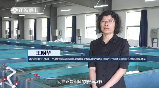 江苏省淡水水产研究所：科学发展绿色渔业，全面提升产业竞争力