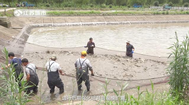 江苏省淡水水产研究所：科学发展绿色渔业，全面提升产业竞争力