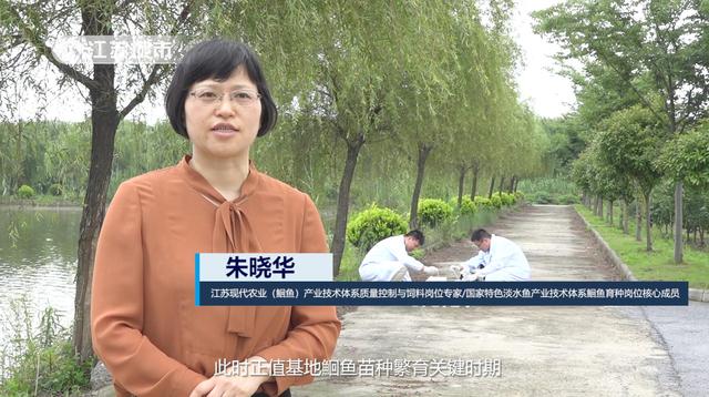 江苏省淡水水产研究所在水产生产过程控制中加大监测力度、控制产品风险