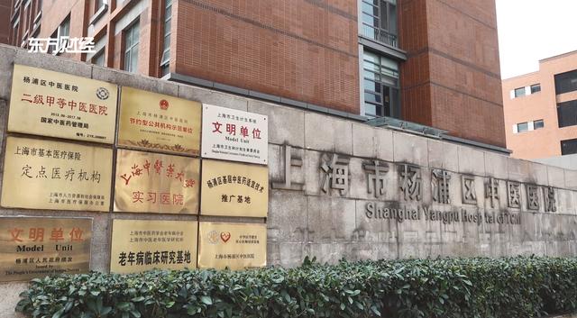 杨浦区中医医院坚持中医药特色发展之路