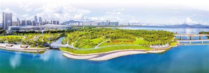 城市与山海美景一色！2020年深圳公园已达1206个(图3)