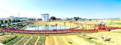【走向我们的小康生活】揭阳市揭西县:幸福乡村入画来