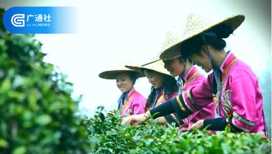 安吉牛牯坳农业打造以畲族文化为主体的景区来助力乡村振兴(图4)