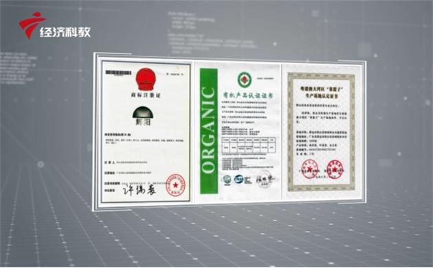 粤港澳大湾区“放心菜篮子”—走进阳山县山耕生态农产品有限公司(图5)