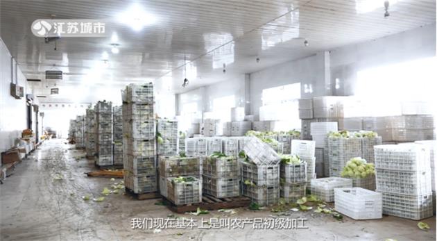 南京凯凯农副产品创新引领农业全产业链的转型升级(图5)