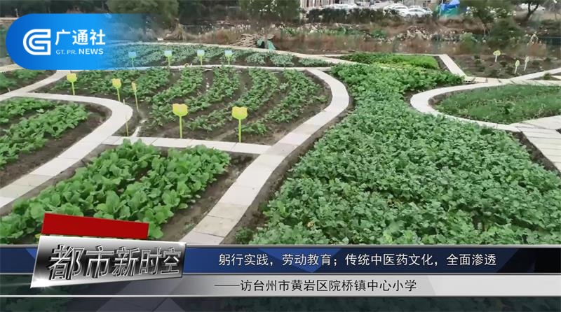 台州市黄岩区院桥镇中心小学打造特色课程，助力弘扬中医药传统文化(图5)