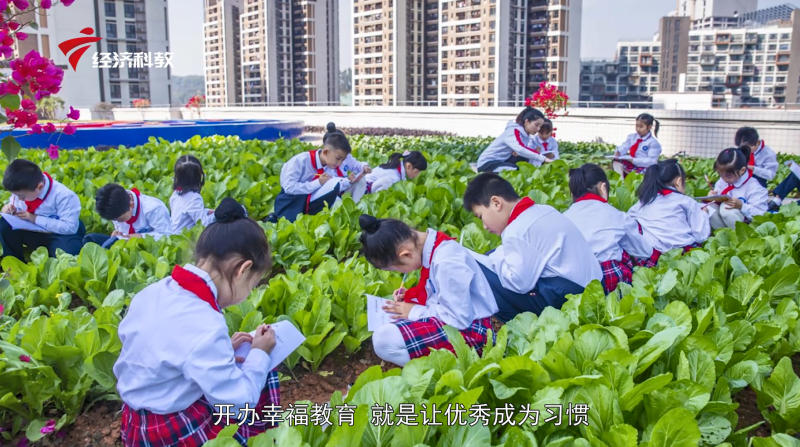 东荟花园小学全面开展体育教学工作，打造幸福教育品牌(图6)