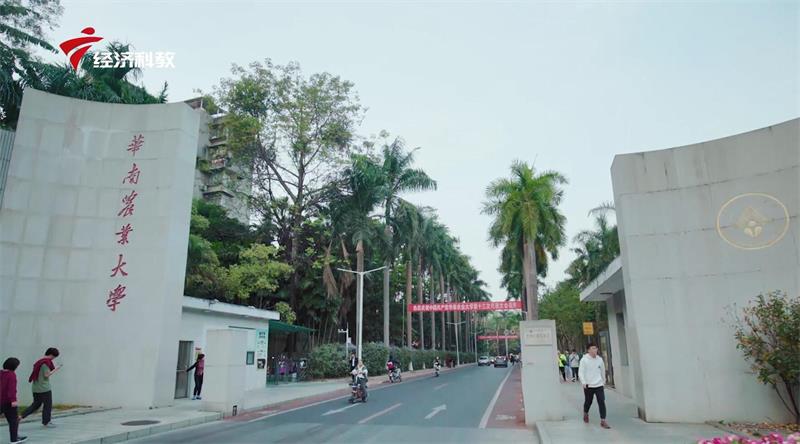 华南农业大学兽医学院充分发挥学科优势，助力畜牧养殖健康发展