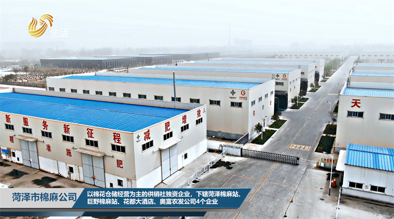 关注新疆棉，菏泽市棉麻公司为棉花仓储提供全方位服务(图1)