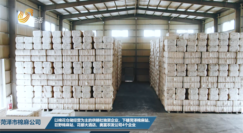关注新疆棉，菏泽市棉麻公司为棉花仓储提供全方位服务(图2)