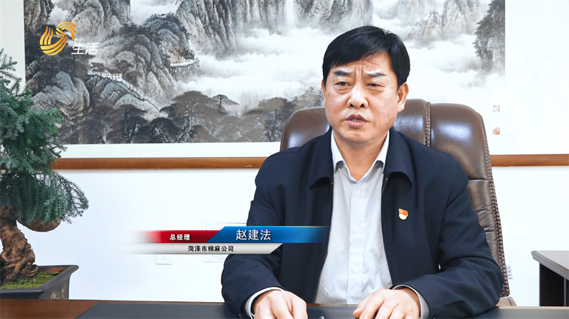 关注新疆棉，菏泽市棉麻公司为棉花仓储提供全方位服务(图3)
