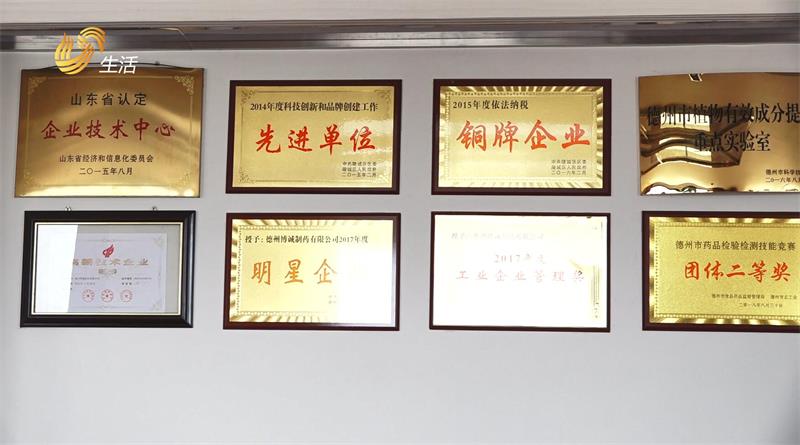 德州博诚制药始终秉承“博爱诚信做好药”的企业理念(图2)