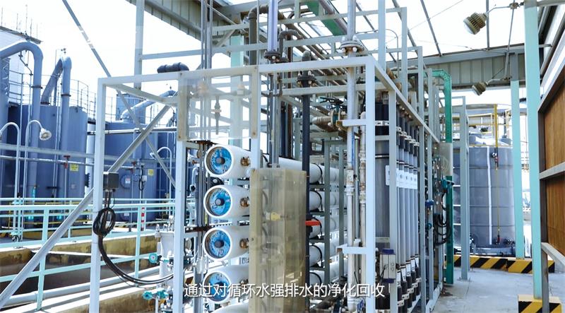 江苏理文化工积极推行环保理念，为环境保护贡献力量(图5)