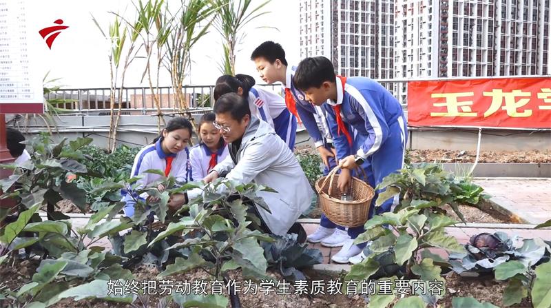 深圳市龙华区玉龙学校积极推进劳动教养，培养学生综合素养(图1)