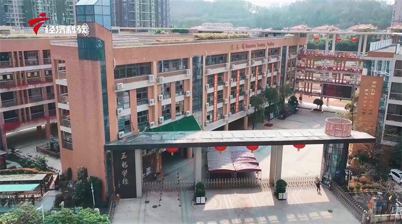 深圳市龙华区玉龙学校积极推进劳动教养，培养学生综合素养(图2)