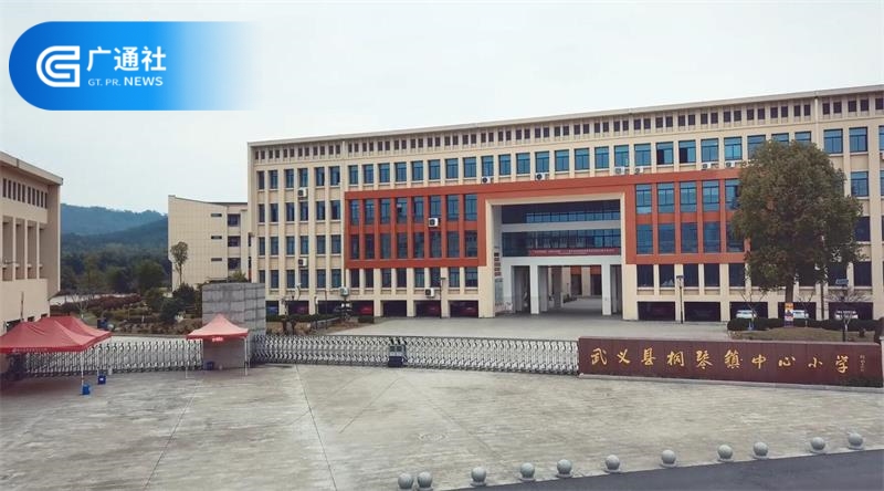 武义县桐琴镇中心小学：传承民族文化，发展个性特长(图3)