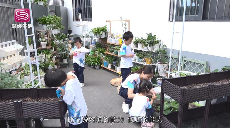 深圳市盐田区教科院幼儿园贯彻纯粹教育，为孩子提供科学、快乐的成长环境(图7)