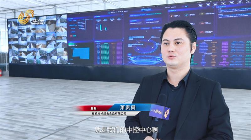 乡村振兴，美丽乡村建设——走进菏泽市定陶区仿山镇(图6)