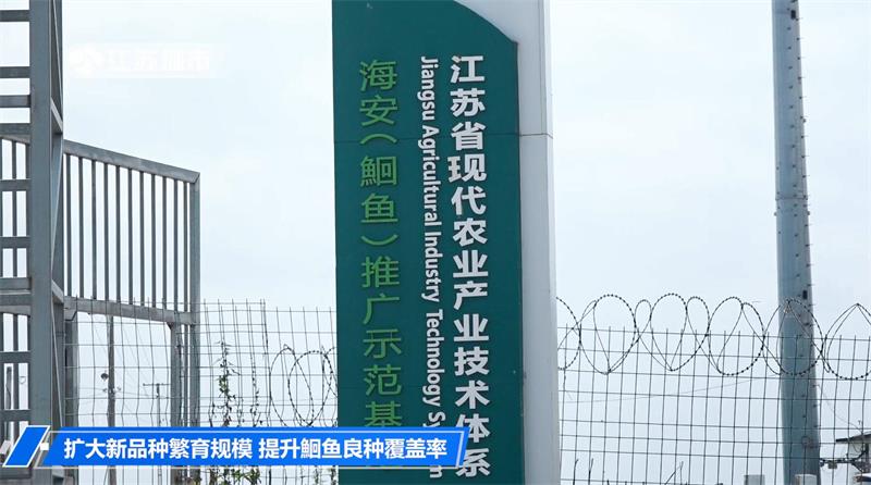 江苏省淡水水产研究所：扩大新品种繁育规模 提升鮰鱼良种覆盖率(图1)