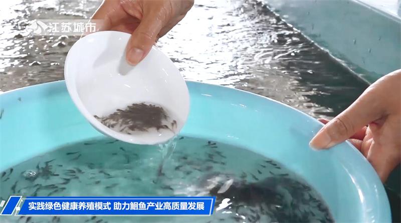 江苏省淡水水产研究所：实践绿色健康养殖模式，助力鮰鱼产业高质量发展(图2)